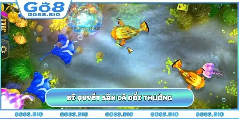 Bí quyết săn cá đổi thưởng tuyệt đỉnh