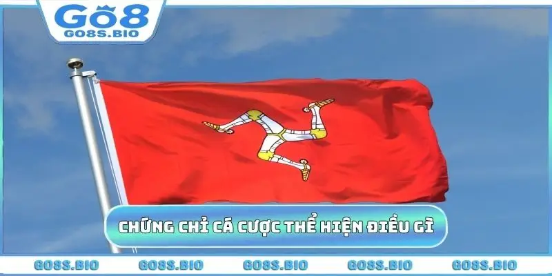 Chứng chỉ cá cược thể hiện điều gì