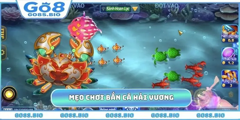 Mẹo chơi bắn cá hải vương đỉnh của chóp